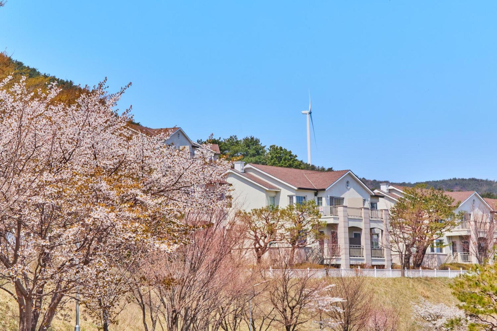 Gyeongju Mauna Ocean Resort Экстерьер фото