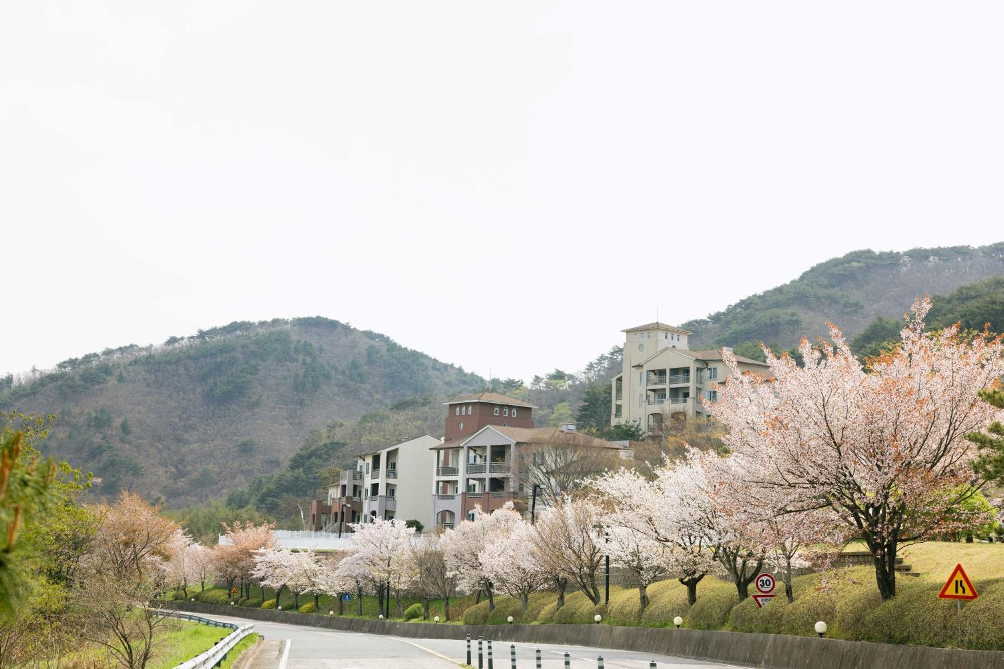 Gyeongju Mauna Ocean Resort Экстерьер фото