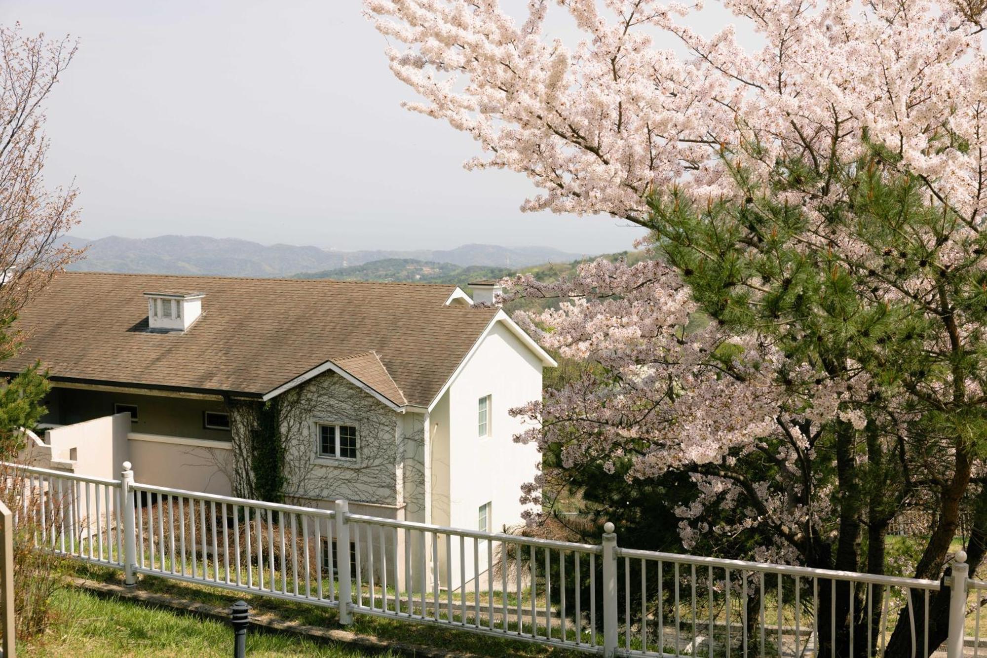 Gyeongju Mauna Ocean Resort Экстерьер фото